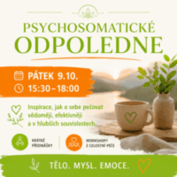 https://umenidelatzmeny.cz/wp-content/uploads/2026/07/PSC-odpo-e1784786233826.png
